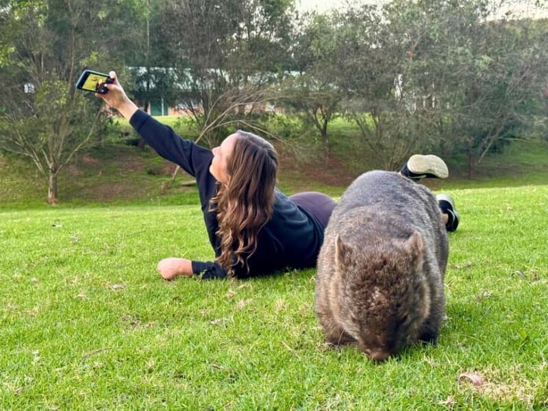 WILD Wombats and Kangaroo Experience, All Inclusive, Sydney - A Deep Dive into the WILD Wombats and Kangaroo Experience