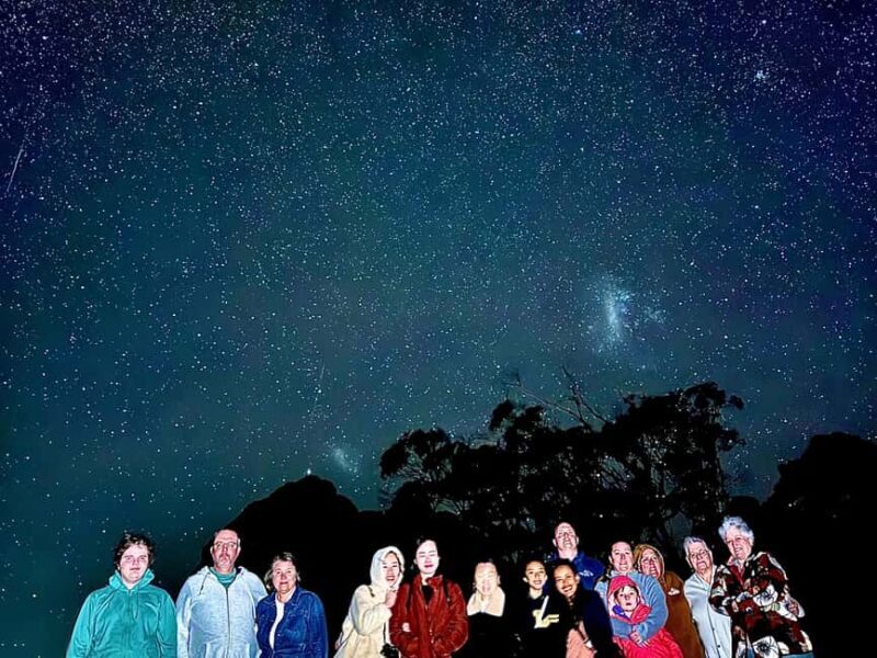 WILD Wombats and Kangaroo Experience, All Inclusive, Sydney - Final Thoughts
