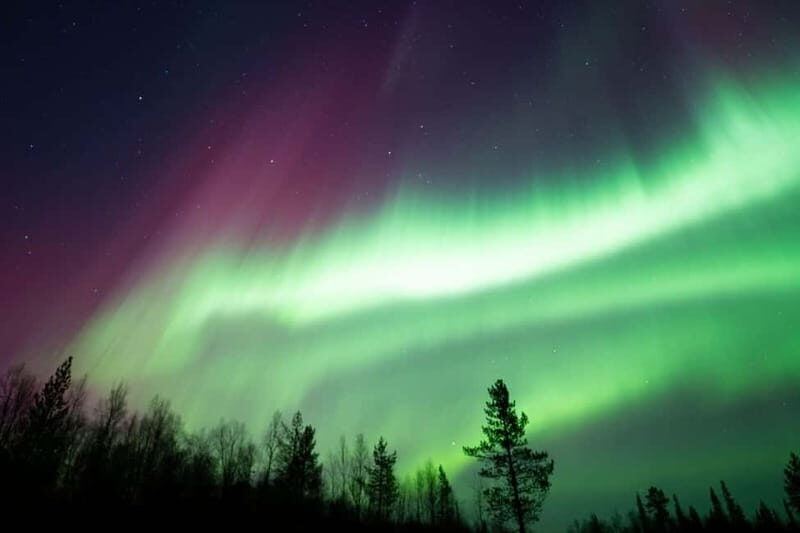 Wilderness Adventure by Snowmobile Sleigh - Wilderness Adventure by Snowmobile Sleigh – A Unique Arctic Experience in Lapland