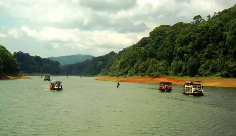 Wilderness & Culture: One Day Tour of Thekkady with Jeep !! - Practical Tips for the Tour