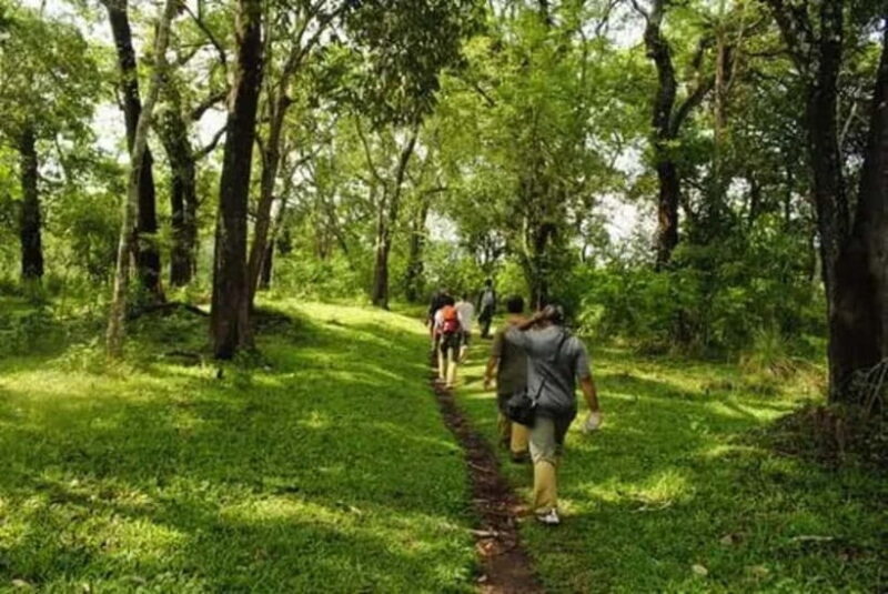 Wilderness & Culture: One Day Tour of Thekkady with Jeep !! - The Sum Up: Who Will Love This Tour?