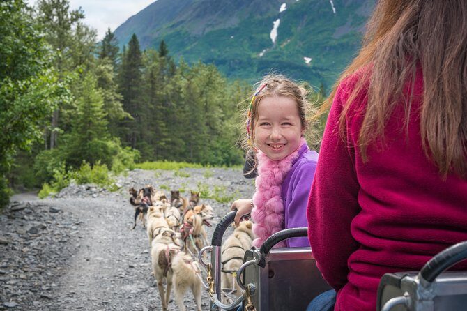 Wilderness Dog Sled Ride and Tour in Seward - The Sum Up