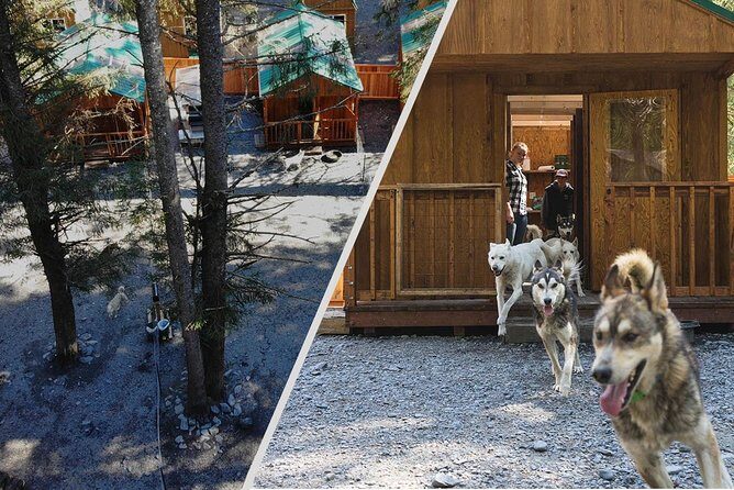 Wilderness Dog Sled Ride and Tour in Seward - FAQ