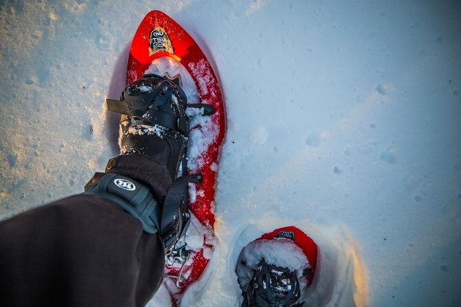 Wilderness snowshoe adventure - A Deep Dive into the Wilderness Snowshoe Adventure