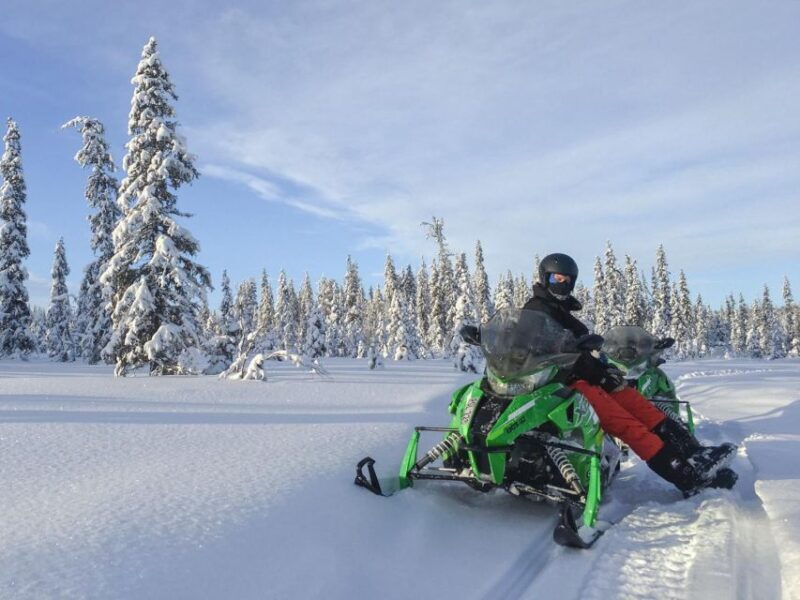 Wilderness Tour with Snowmobile & Ice Fishing - Exploring the Arctic Wilderness: What to Expect from the Tour