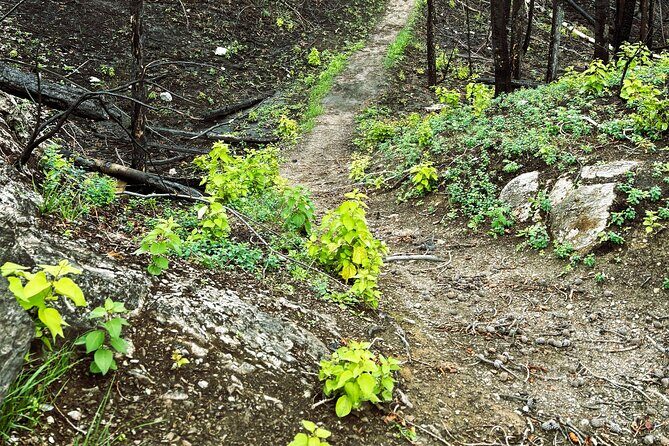 Wildfire Peak Nic - Why This Tour Offers Real Value