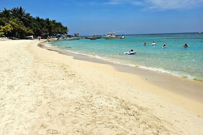 wildlife adventure & beach - An In-Depth Look at Roatan’s Wildlife & Beach Tour