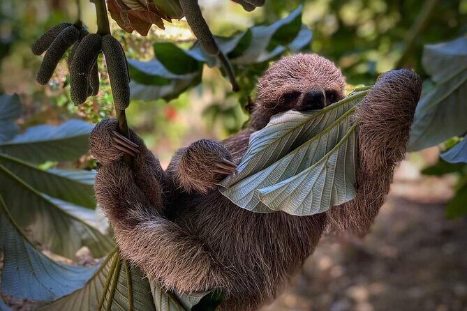 wildlife adventure & beach - Final Thoughts