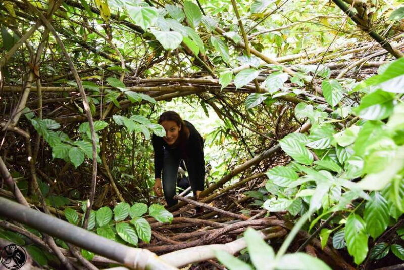 Wildlife and Jungle Adventure - 01Day in Phong Nha - Key Points