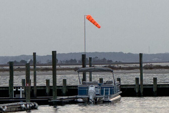 Wildlife Boat Tour with Wild Ponies and Dolphins in Chincoteague - The Sum Up