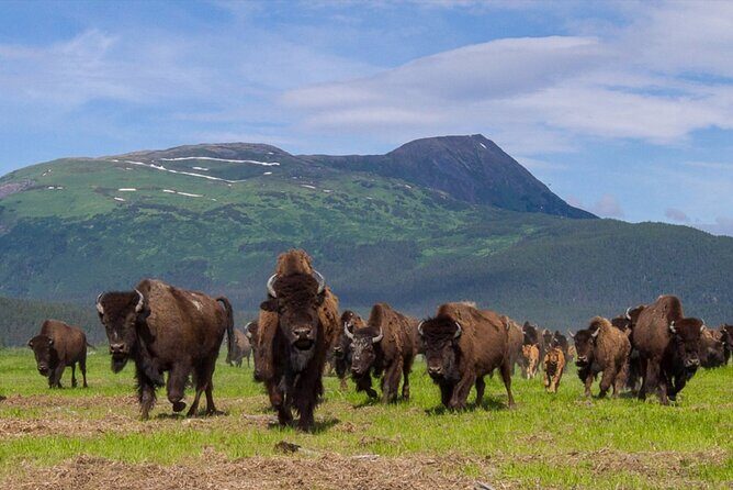 Wildlife Center with Lunch & Local Beer Sampling - Winter&Summer - A Deep Dive into the Experience