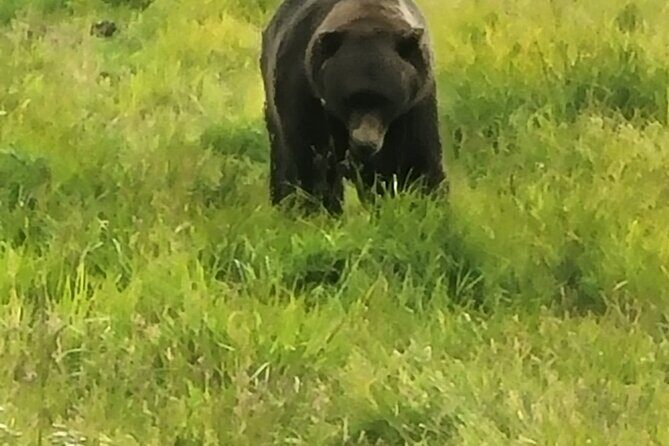 Wildlife Center with Lunch & Local Beer Sampling - Winter&Summer - Frequently Asked Questions