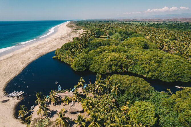 Wildlife Eco Tour on the coast of Oaxaca. - Final Thoughts