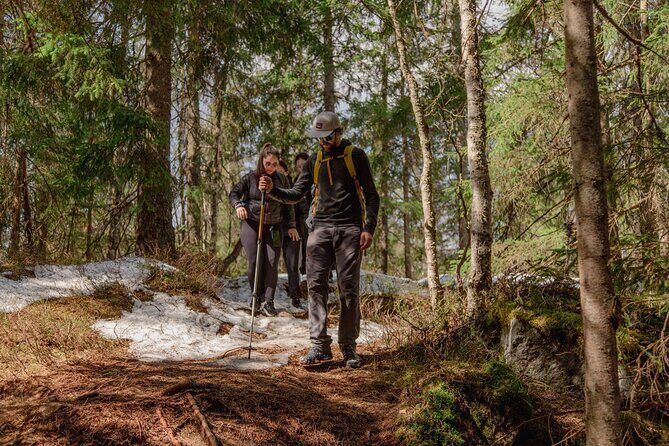 Wildlife Forest Hike - Key Points