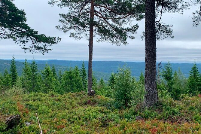 Wildlife Forest Hike - FAQs