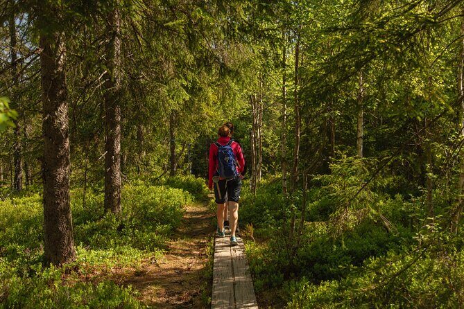 Wildlife Forest Hike - Final Thoughts