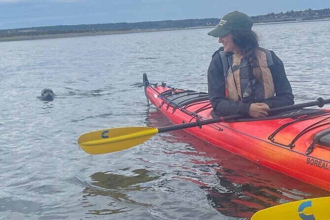 Wildlife Kayak Tour at Fort Flagler State Park - Exploring the Details: A Close Look at the Wildlife Kayak Tour