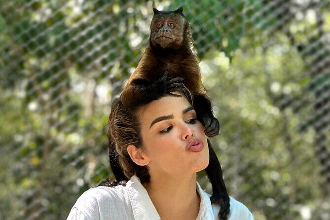 Wildlife Learning Adventure and Snorkeling in Akumal - Wildlife Learning Adventure and Snorkeling in Akumal: A Balanced Look at Nature’s Best