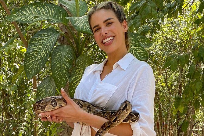 Wildlife Learning Adventure and Snorkeling in Akumal - Exploring the Details: A Deep Dive into the Tour