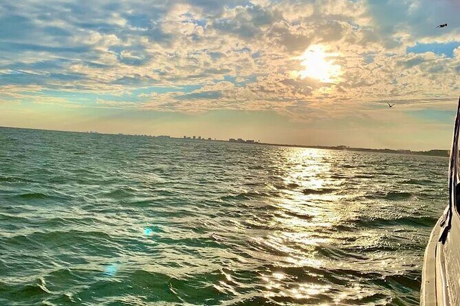 Wildlife Nature Cruise - 2.5 HR Eco Tour Anne Kolb State Park - An In-Depth Look at the Wildlife Nature Cruise