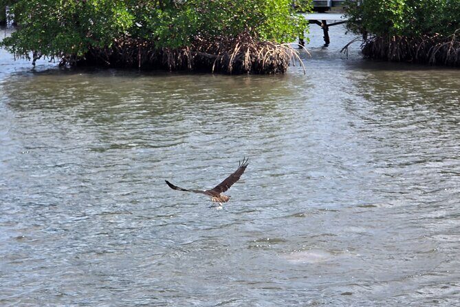 Wildlife Nature Cruise - 2.5 HR Eco Tour Anne Kolb State Park - Frequently Asked Questions