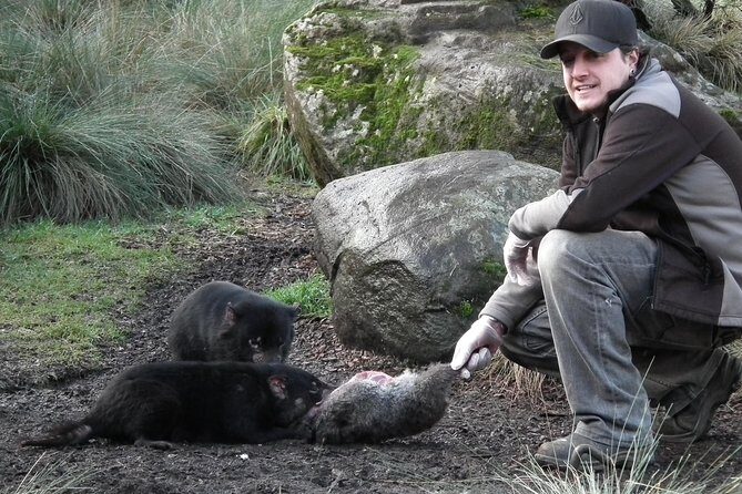 Wildlife Night Spotting at Cradle Mountain - FAQ