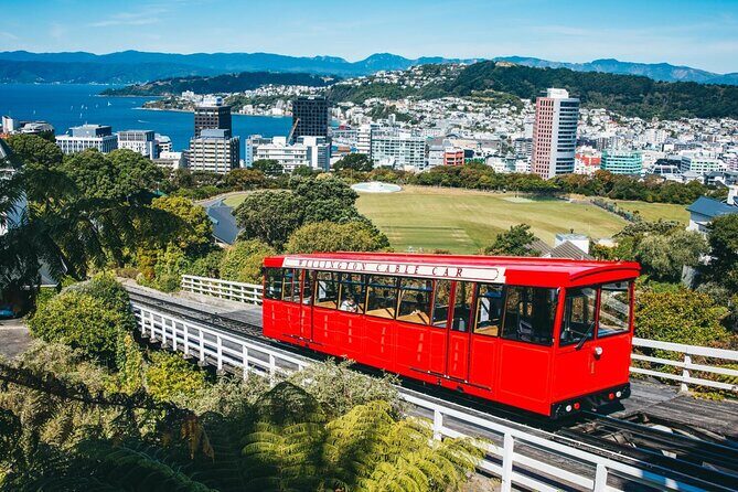 Wildlife Private Tour from Wellington Cruise Port - Deep Dive into the Wellington Wildlife Private Tour