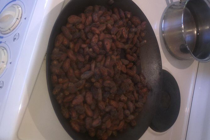 Wildlife rainforest Hiking sloth & Chocolate -Coffee tour - FAQ