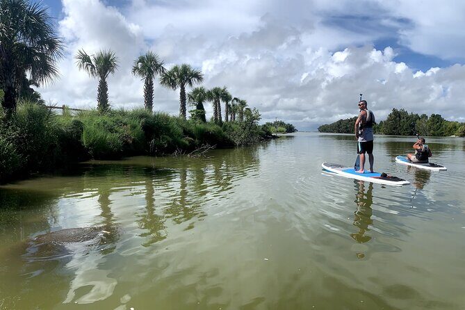 Wildlife Refuge Dolphin, Manatee & Mangrove Kayak or Paddleboarding Tour! - A Detailed Look at the Cocoa Beach Wildlife Tour