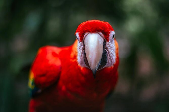 Wildlife Rescue Center Tour in Costa Rica - Who Should Book This Tour?