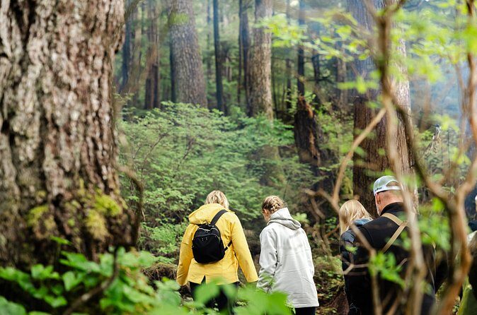 Wildlife Safari and Beach Campfire from Ketchikan - Final Thoughts: Is It Worth It?