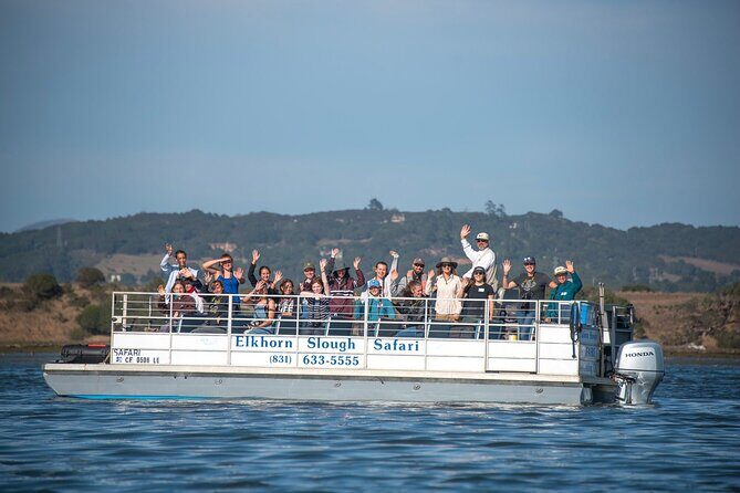 Wildlife Safari Boat Tour in Scenic Monterey Bay Wetland - An In-Depth Look at the Wildlife Safari Boat Tour