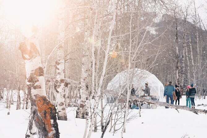 Wildlife Safari, Elk Refuge Sleigh Ride, Winter Camp Igloo Dinner - Final Thoughts