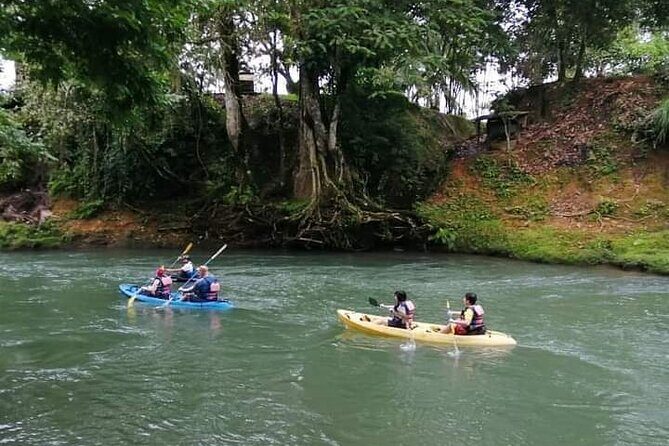 Wildlife Safari Experience by Kayak - Who Will Appreciate This Tour?