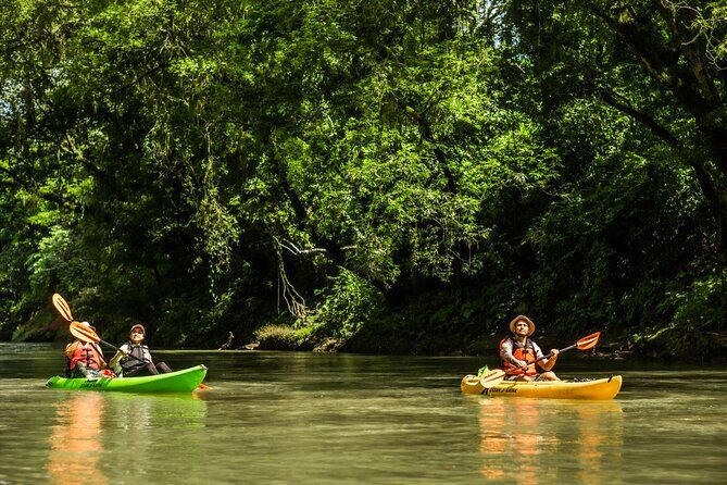 Wildlife Safari Float by Kayak in Peñas Blancas River from Arenal - The Sum Up: Is This Tour Right for You?