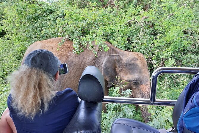 Wildlife Safari Yala National park - Discover the Wild Side of Sri Lanka with Yala and Udawalawa Safaris