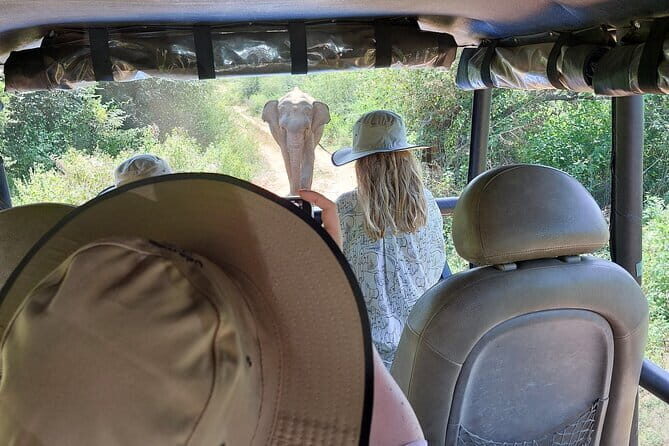 Wildlife Safari Yala National park - Final Thoughts