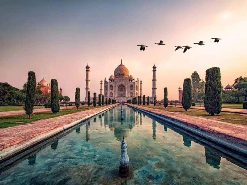 Wildlife SOS Elephant Sanctuary & Taj Mahal Tour from Delhi - FAQs