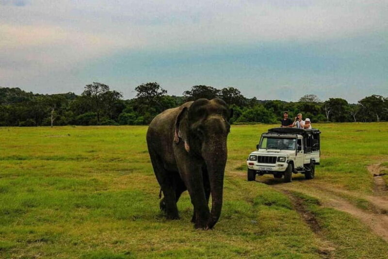 Wildlife Sri Lanka: 10-Day All-Inclusive Luxury Tour - Practical Tips for Your Trip