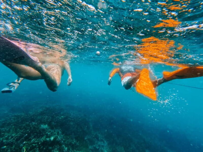 Wildlife Sri Lanka: 10-Day All-Inclusive Luxury Tour - Who Should Consider This Tour?