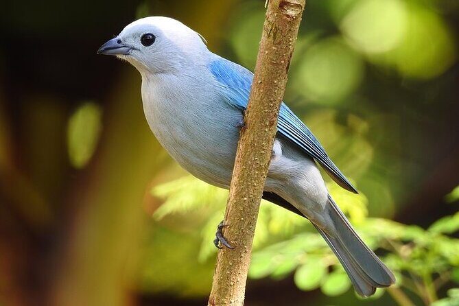 Wildlife Tour in Curicancha - FAQ