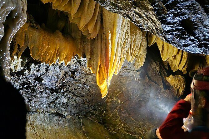 Wildlife, Waterfalls, Caves, Old Growth on Vancouver Island - Final Thoughts