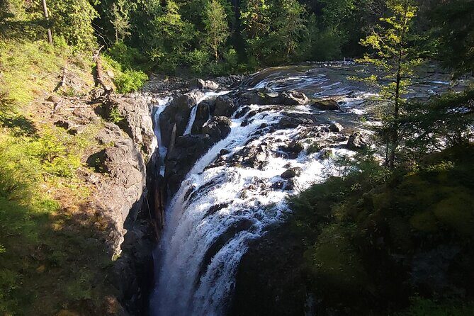 Wildlife, Waterfalls, Caves, Old Growth on Vancouver Island - FAQ