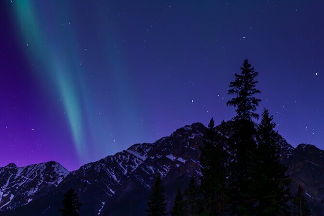 Wildlife Wild Skies: Jasper Planetarium Combo - Jasper Planetarium: Sky and Stars Indoors and Out