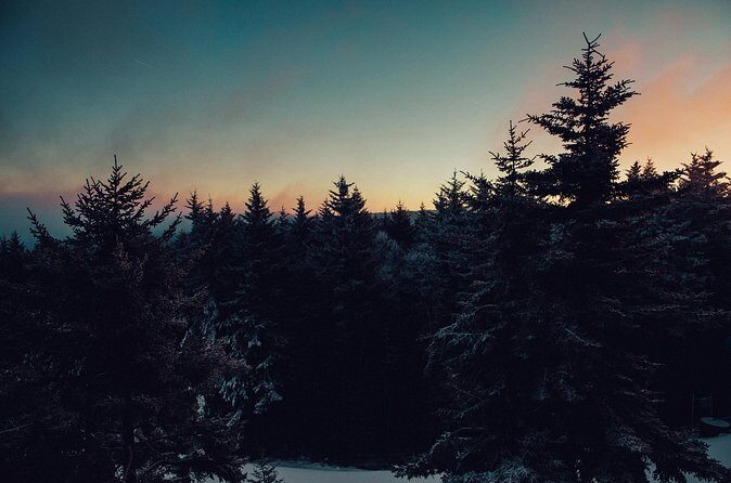 Wildlife Wild Skies: Jasper Planetarium Combo - FAQ