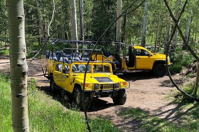 Wildside 4X4's Not So Mellow Marshmallow Tour - Authentic Experiences and Customer Feedback