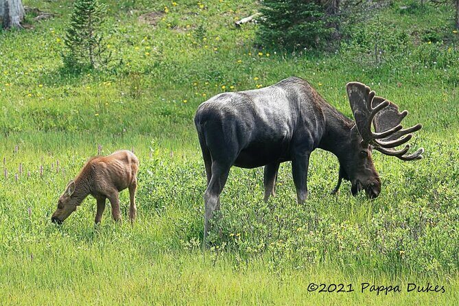 Wildside 4X4's Sunset Photo Tour - An In-Depth Look at the Wildside 4X4 Sunset Photo Tour