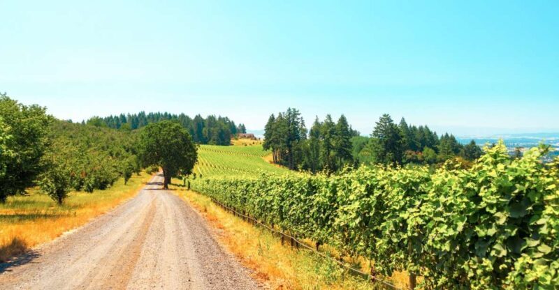 Willamette Valley Wine Tour - Key Points