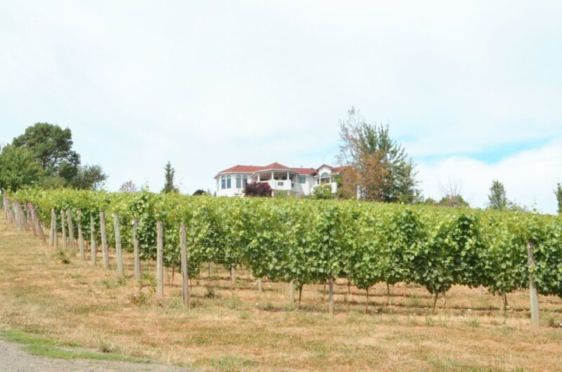 Willamette Valley Wine Tour - Who This Tour Is Best For