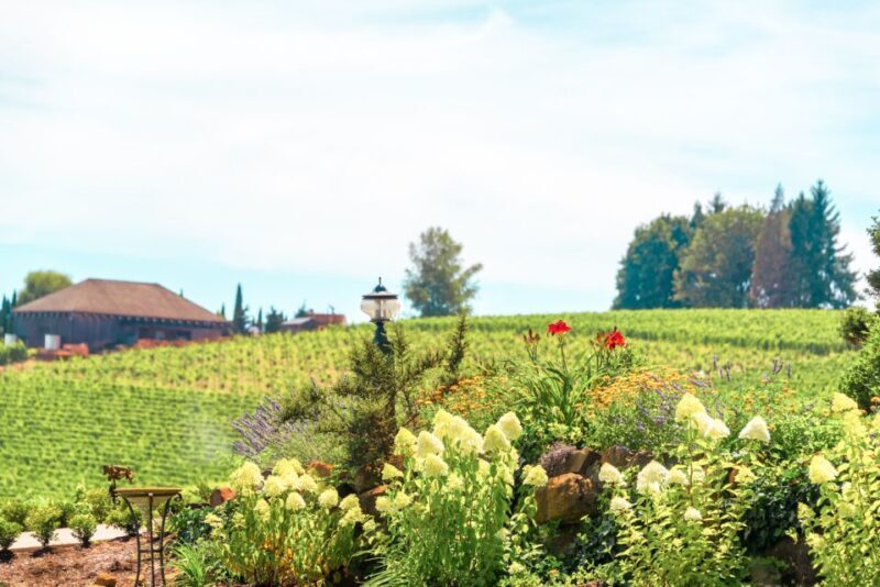 Willamette Valley Wine Tour - Frequently Asked Questions